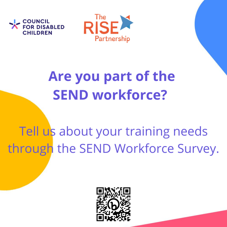 SEND Workforce Survey